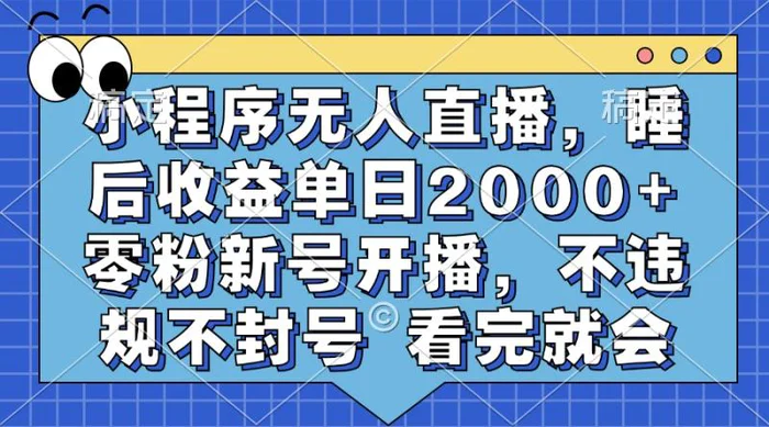 （13251期）小程序无人直播，睡后收益单日2000+ 零粉新号开播，不违规不封号 看完就会-副业城