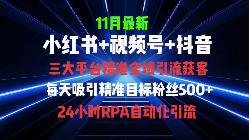 （13259期）全域多平台引流私域打法，小红书，视频号，抖音全自动获客，截流自…-副业城