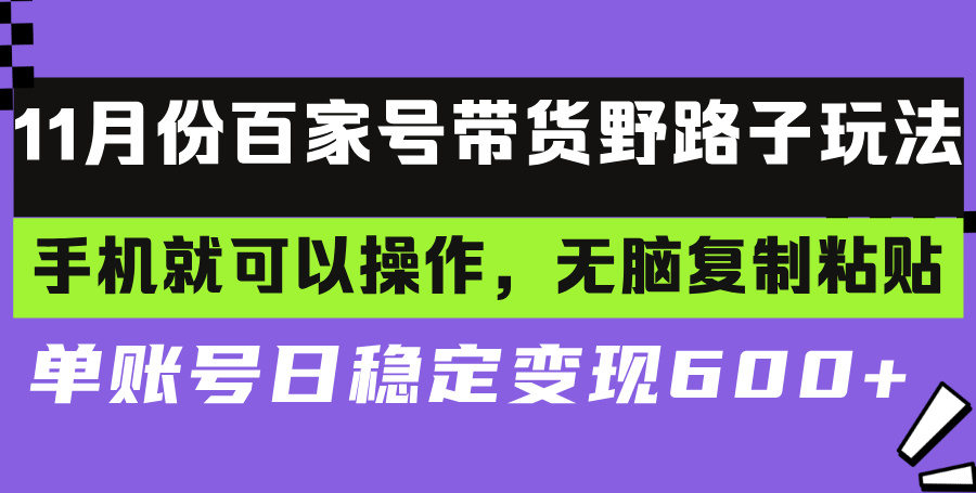 （13281期）百家号带货野路子玩法 手机就可以操作，无脑复制粘贴 单账号日稳定变现…-副业城