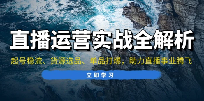 （13294期）直播运营实战全解析：起号稳流、货源选品、单品打爆，助力直播事业腾飞-副业城