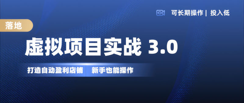 虚拟项目实操落地 3.0,新手轻松上手，单品月入1W+-副业城