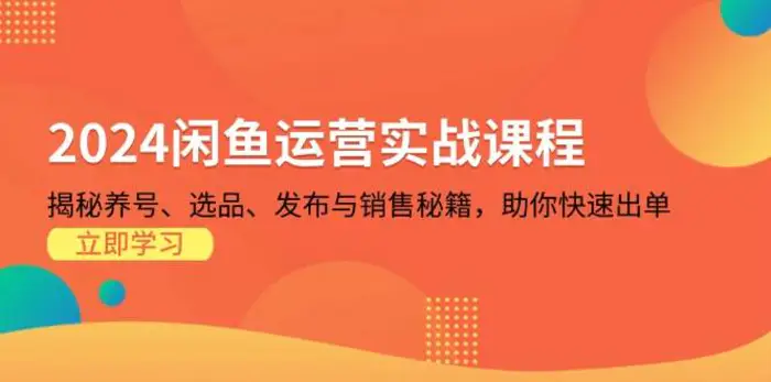 2024闲鱼运营实战课程：揭秘养号、选品、发布与销售秘籍，助你快速出单-副业城