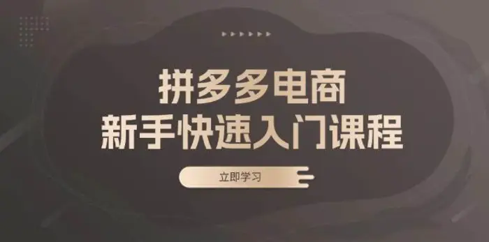 拼多多电商新手快速入门课程：涵盖基础、实战与选款，助力小白轻松上手-副业城