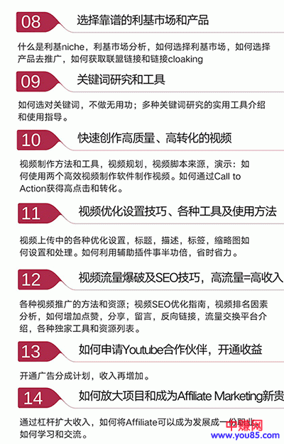 图片[5]-（914期）手把手教你操作youtube日赚70美元（14课视频+文档）无水印-副业网