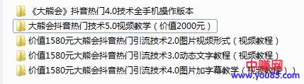 图片[2]-（908期）某高端赚钱项目：大熊会抖音热门技术2.0到5.0（全套视频课程）-副业网