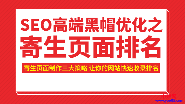 图片[2]-（951期）SEO高端黑帽优化之寄生页面排名，制作策略+快速收录排名（视频课）-副业网