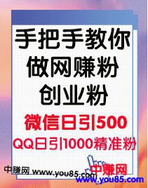 图片[2]-（969期）手把手教你做网赚粉，创业粉，私域流量（第一期）简单粗暴的玩法-副业网