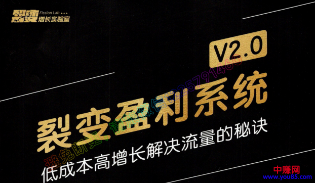 图片[2]-（955期）低成本高增长解决流量的秘诀《裂变盈利系统V2.0》视频+文档-副业网