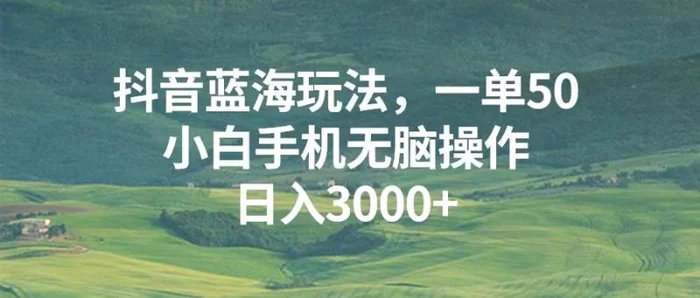 （13353期）抖音蓝海玩法，一单50，小白手机无脑操作，日入3000+-副业城