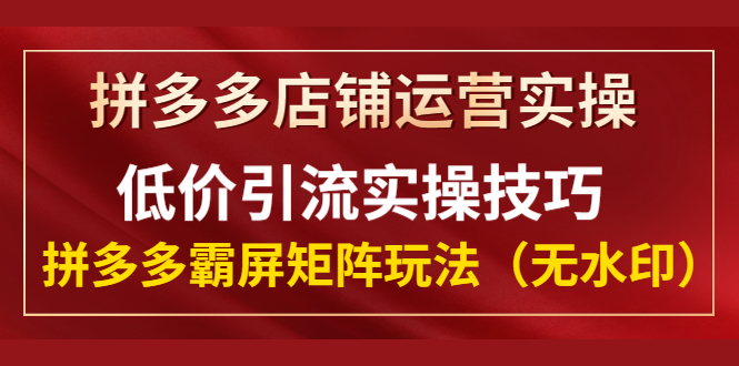 （1342期）拼多多店铺运营实操，低价引流实操技巧，拼多多霸屏矩阵玩法（无水印）-副业网