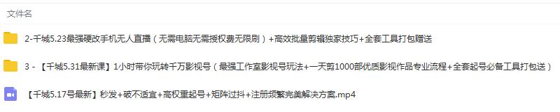 图片[3]-（1344期）1小时带你玩转千万影视号：专业起号+模板制作+1天剪1000部影视+全套工具-副业网