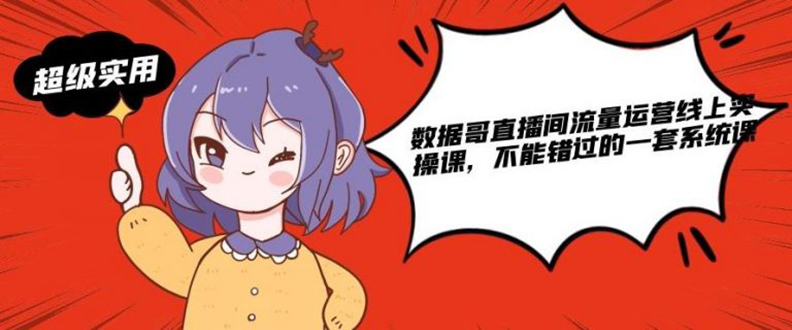 （1866期）数据哥直播间流量运营线上实操课，不能错过的一套系统课-副业网