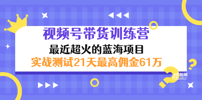 （2946期）外面收899【视频号带货训练营】最近超火：实测21天最高佣金61W(7月4日更新)-副业网