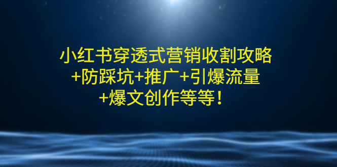 （2907期）小红书穿透式营销收割攻略+防踩坑+推广+引爆流量+爆文创作等等！-副业网