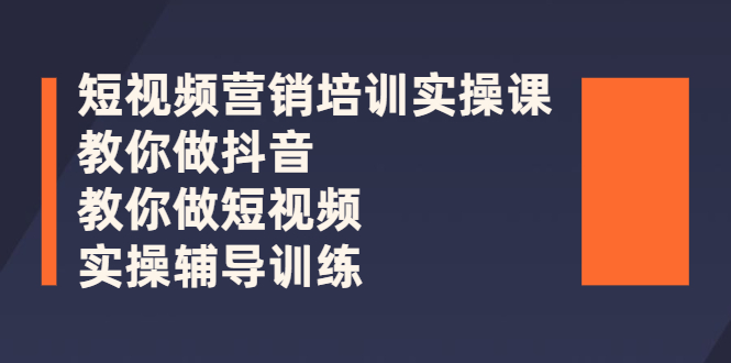 （2626期）短视频营销培训实操课：教你做抖音，教你做短视频，实操辅导训练-副业网
