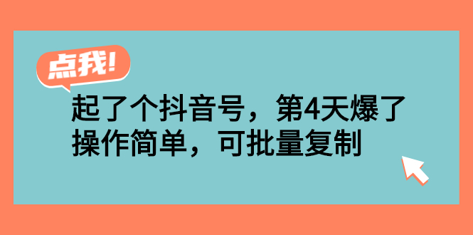（2538期）起了个抖音号，第4天爆了！操作简单，可批量复制-副业网
