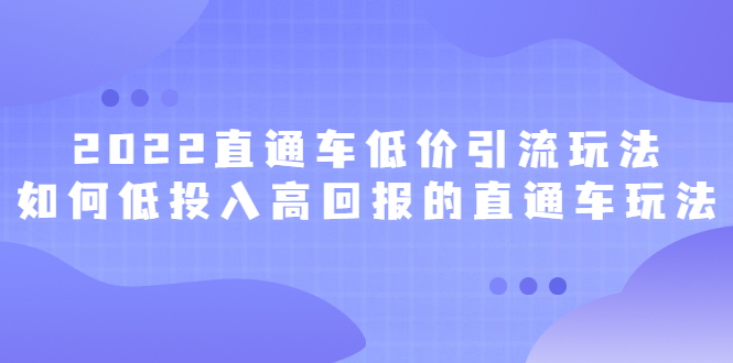 （2415期）2022直通车低价引流玩法，教大家如何低投入高回报的直通车玩法-副业网