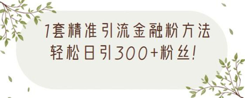图片[1]-（2156期）1套精准引流金融粉方法，轻松日引300+粉丝【视频课程】-副业网