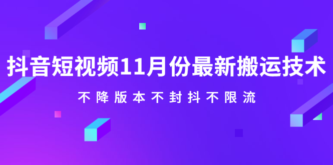 （2141期）抖音短视频11月份最新搬运技术，不降版本不封抖不限流！【视频课程】-副业网