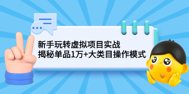 （2144期）新手玩转虚拟项目实战，揭秘单品1万+大类目操作模式【视频课程】-副业网