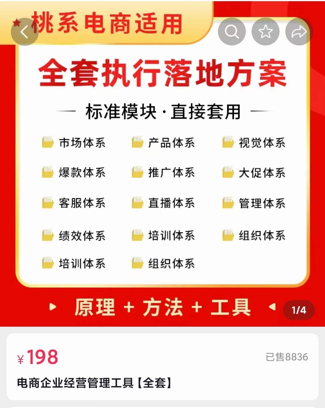 图片[2]-（3439期）外面卖198·电商企业经营管理工具：全套执行落地方案 标准模块·直接套用-副业网