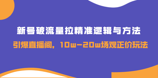 （3689期）新号破流量拉精准逻辑与方法，引爆直播间，10w-20w场观正价玩法-副业网