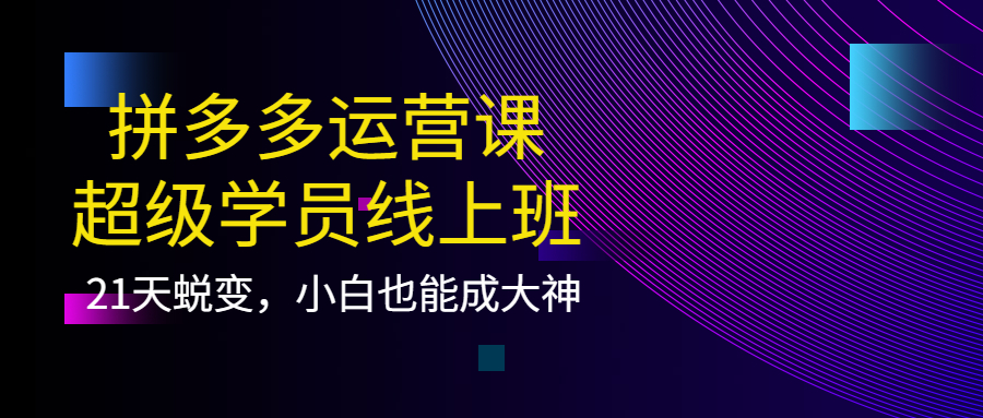 图片[1]-（3929期）拼多多运营课：超级学员线上班，21天蜕变，小白也能成大神-副业网
