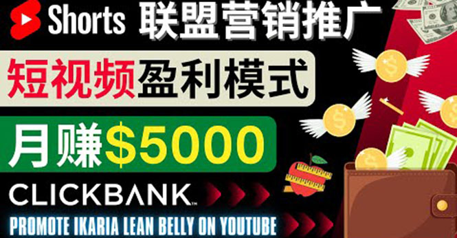 （3969期）通过Youtube Shorts推广联盟营销商品，月赚5000美元 方法和技巧-副业网