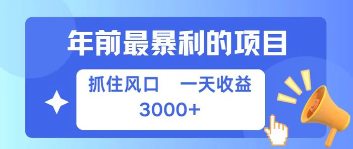 年前最暴利的项目之一，抓住风口，一天收益上k，可以过个肥年-副业城