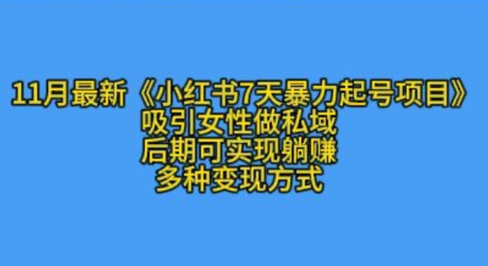 K总部落11月最新小红书7天暴力起号项目，吸引女性做私域【揭秘】-副业城