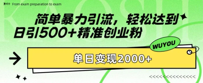 简单暴力引流，轻松达到日引500+精准创业粉，单日变现2k【揭秘】-副业城