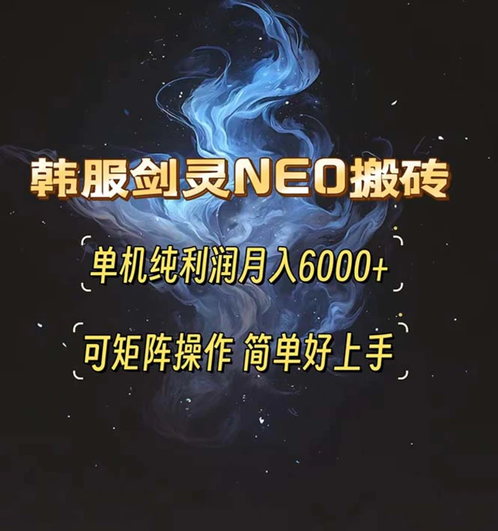 （13435期）韩服剑灵NEO搬砖攻略，单机纯利润月入6000+ 可矩阵操作，简单好上手。-副业城