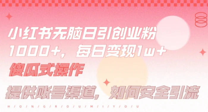 小红书无脑每日引流创业粉500+，小白每天只花半小时，躺赚长尾收益【揭秘】-副业城