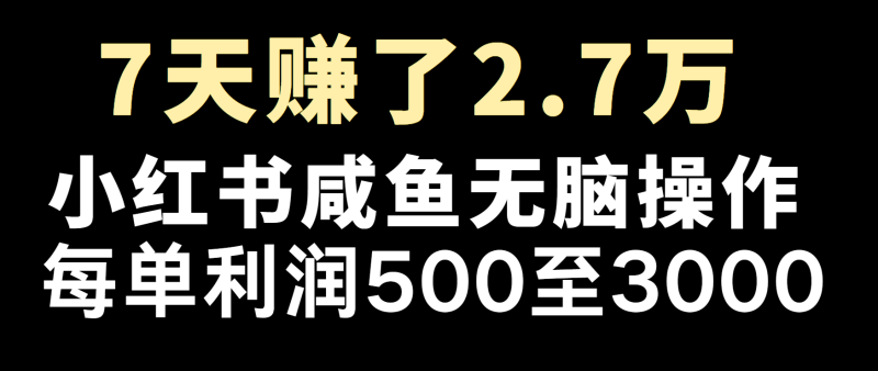 冷门暴利，超级简单的项目0成本玩法，每单在500至4000的利润-副业城