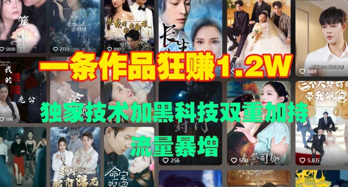 一条作品收益1.2w，独家技术加黑科技双重加持，流量暴增-副业城
