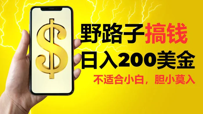 挂机野路子搞钱，日入200美金，路子很野，小白莫入-副业城