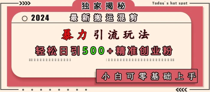 最新搬运混剪暴力引流玩法，轻松日引500+精准创业粉，小白可零基础上手-副业城
