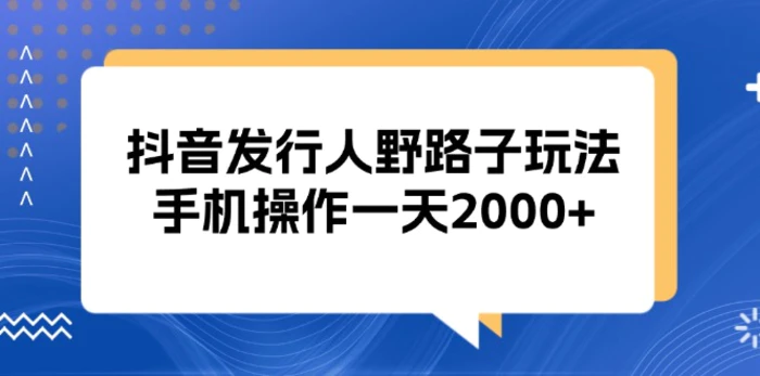（13220期）抖音发行人野路子玩法，手机操作一天2000+-副业城