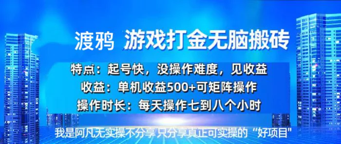 （13501期）韩国知名游戏打金无脑搬砖单机收益500+-副业城
