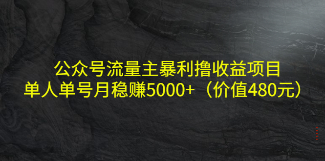 （4011期）公众号流量主暴利撸收益项目，单人单号月稳赚5000+（价值480元）-副业网