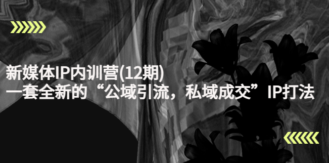 （4103期）新媒体IP内训营(12期)，一套全新的“公域引流，私域成交”IP打法，直接带走-副业网