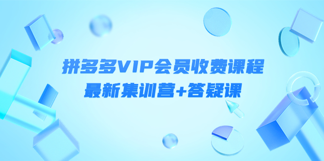 （4127期）某社群·拼多多VIP会员收费课程，最新集训营+答疑课-价值3299元-副业网