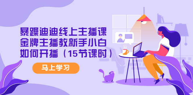 （4203期）暴躁迪迪线上主播课，金牌主播教新手小白如何开播（15节课时）-副业网
