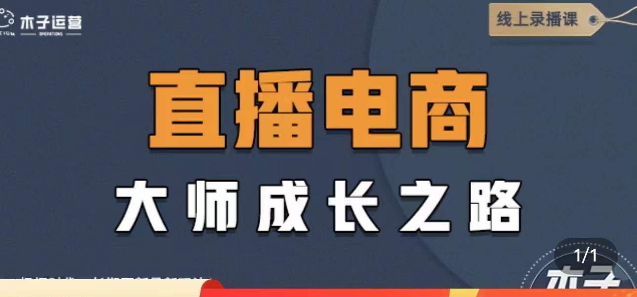 图片[1]-（4200期）直播电商高手成长之路：教你成为直播电商大师，玩转四大板块（25节）-副业网