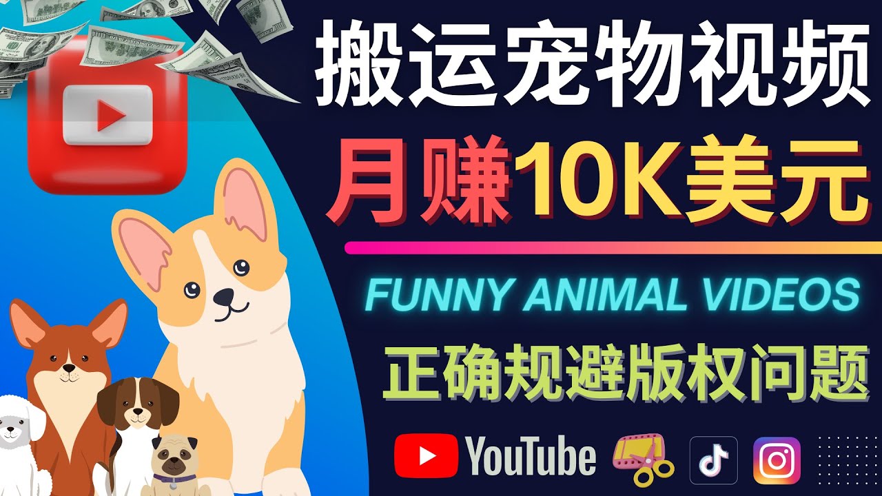 图片[1]-（4221期）搬运TIKTOK视频到YouTube，并进行二次创作，月赚1万美元以上-副业网