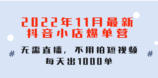 （4356期）2022年11月最新抖音小店爆单训练营：无需直播，不用拍短视频，每天出1000单-副业网