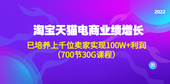 （4409期）淘系天猫电商业绩增长：已培养上千位卖家实现100W+利润（700节30G课程）-副业网