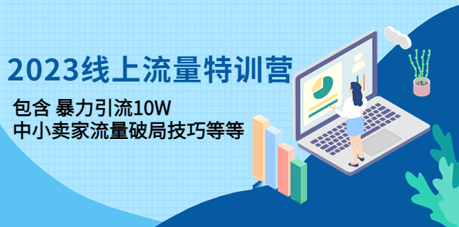（4567期）2023线上流量特训营：包含暴力引流10W+中小卖家流量破局技巧等等-副业网
