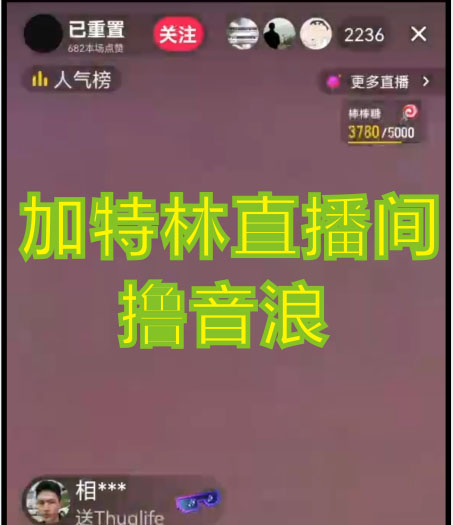 图片[2]-（4791期）2023抖音加特林直播间搭建技术，0粉开播-暴力撸音浪-日入800+【素材+教程】-副业网