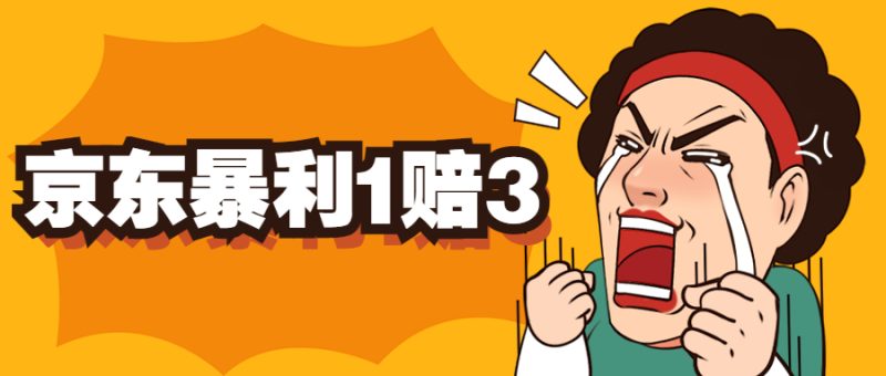 （5303期）京东暴利一赔三，单号可下车1W+，新号基本稳下（仅供揭秘）-副业网